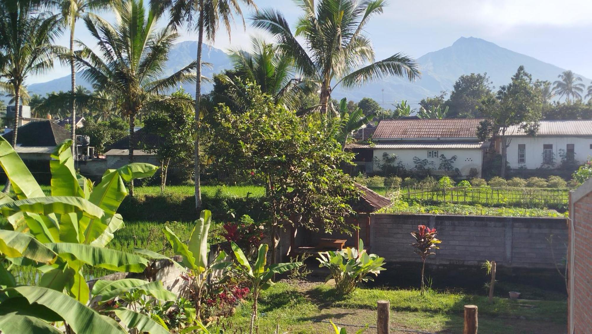 Arista Homestay Tetebatu Exterior foto