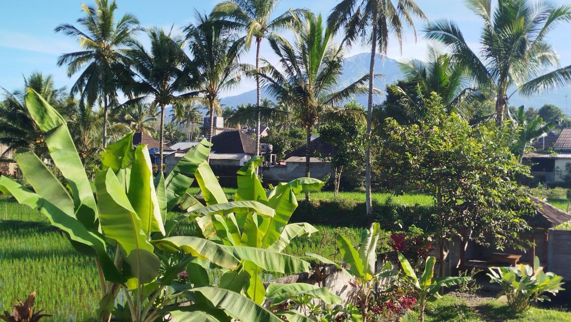 Arista Homestay Tetebatu Exterior foto